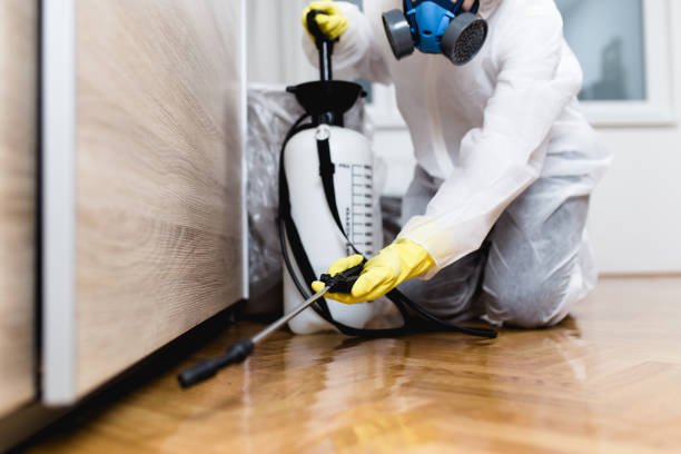 Best Affordable Pest Control Services  in Bullard, TX