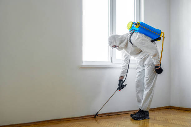 Best Mosquito Control Services  in Bullard, TX