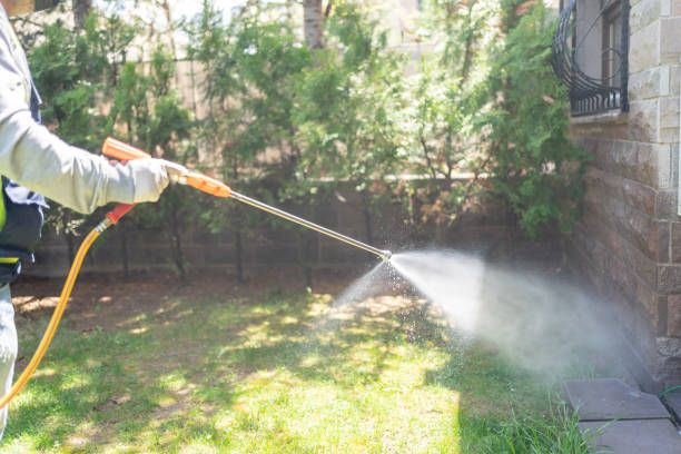 Best Pest Prevention Services  in Bullard, TX