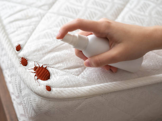 Best Pest Control Near Me  in Bullard, TX