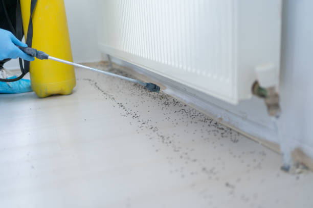 Best Pest Control Near Me in Bullard, TX