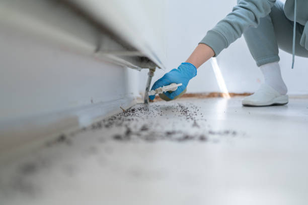 Wildlife Control Services in Bullard, TX